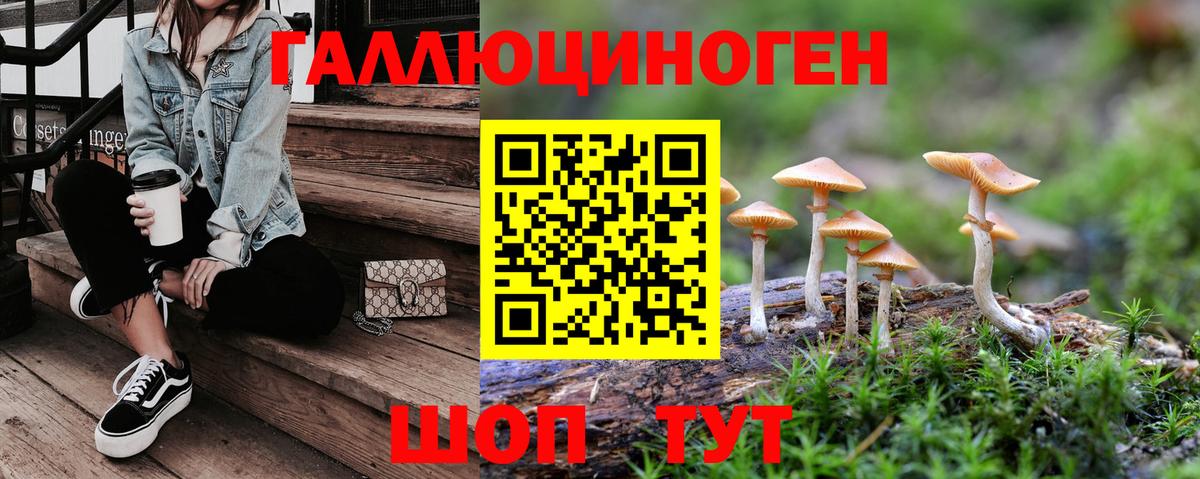 Анжеро-Судженск  Галлюциногенные грибы мухоморы  Псилоцибиновые грибы Psilocybe  Вход с VPN 